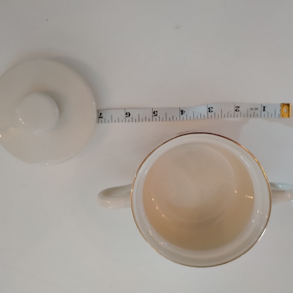 Antique Wild Rose Alberta souvenir dish 22k double handled bowl with lid - Picture 12 of 13